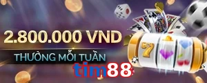 tim88