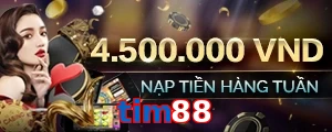 tim88