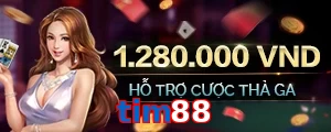tim88