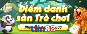 tim88