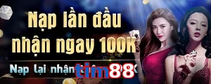 tim88