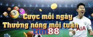 tim88